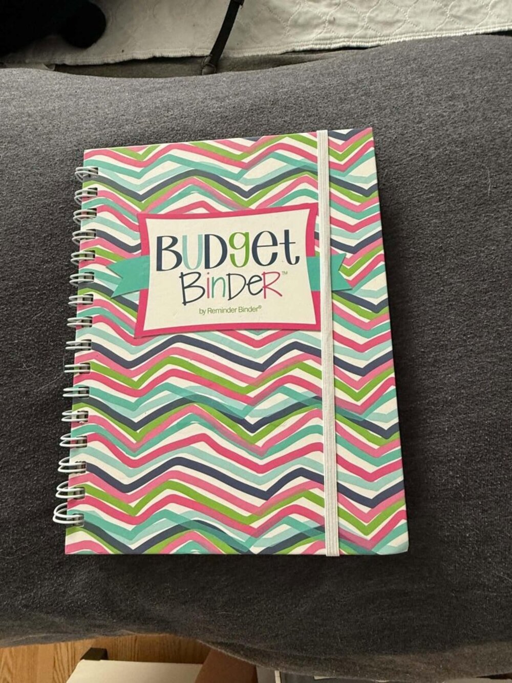 Denise Albright Budget Binder™ Undated 12-Month Budget Planner Workbook